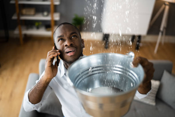 Best Water damage restoration near me  in Kirtland Af, NM