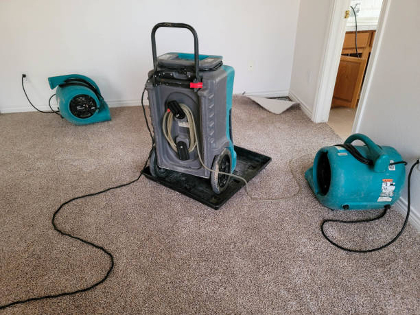 Best Flooded house restoration  in Kirtland Af, NM