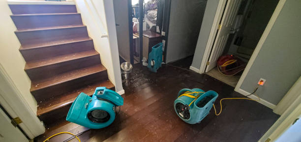 Best Water damage restoration experts  in Kirtland Af, NM