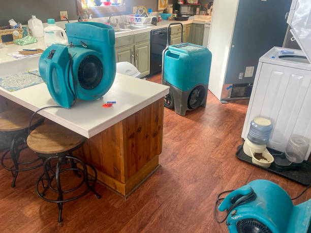 Best Basement water damage restoration  in Kirtland Af, NM