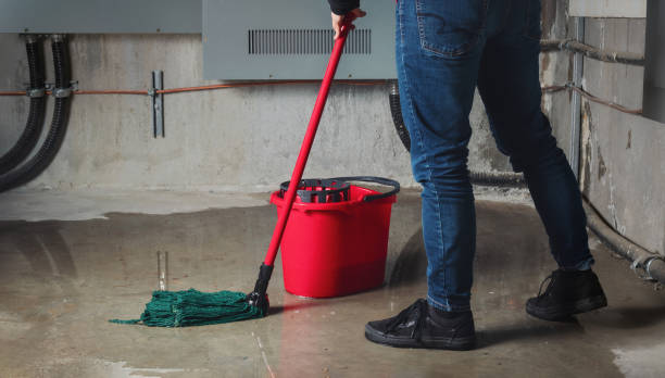Best Mold removal after water damage  in Kirtland Af, NM