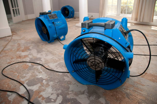 Best Water damage restoration cost  in Kirtland Af, NM