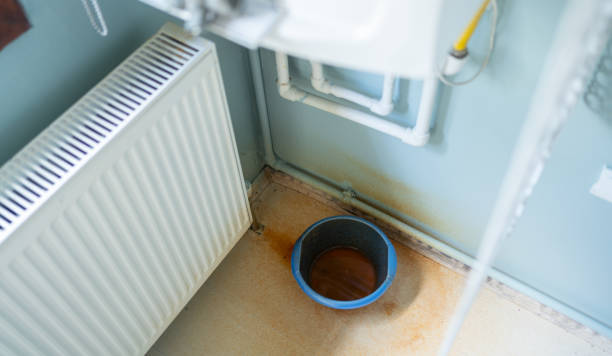 Best Sewage cleanup and water damage restoration  in Kirtland Af, NM