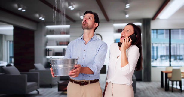 Reliable Kirtland Af, NM Water damage restoration Solutions